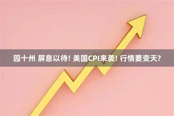 园十州 屏息以待! 美国CPI来袭! 行情要变天?