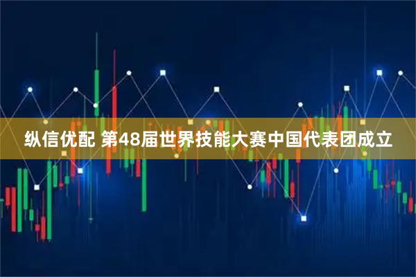 纵信优配 第48届世界技能大赛中国代表团成立