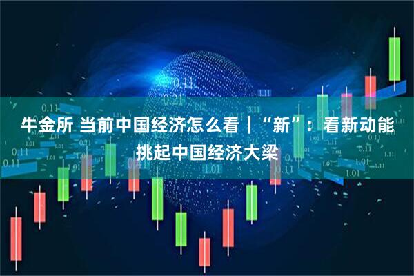 牛金所 当前中国经济怎么看｜“新”：看新动能挑起中国经济大梁